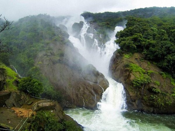 Dudhsagar Waterfall with Spice Plantation