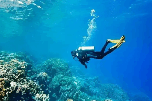 Grand Island Scuba Diving – Goa